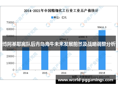 博阿基耶离队后青岛海牛未来发展前景及战略调整分析