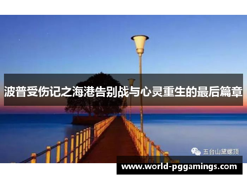 波普受伤记之海港告别战与心灵重生的最后篇章