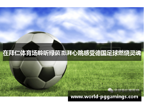 在拜仁体育场聆听绿茵澎湃心跳感受德国足球燃烧灵魂