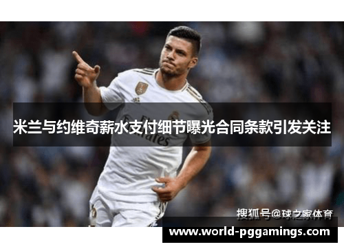 米兰与约维奇薪水支付细节曝光合同条款引发关注 米兰与约维奇薪水支付细节曝光合同条款引发关注