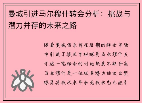 曼城引进马尔穆什转会分析：挑战与潜力并存的未来之路